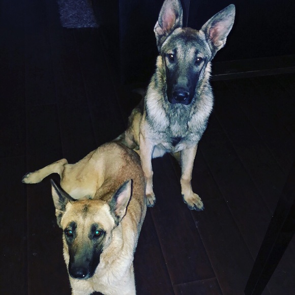 Hello beautiful people! - Picture 1 of 1